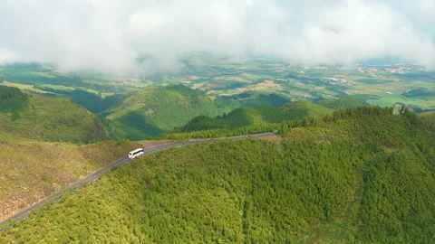 Bus in the Forest Vídeos de archivo 231707207