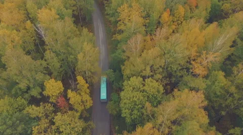 Bus goes through the beautiful forest, aerial shooting Stock Footage 55121571