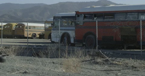Bus Graveyard Stock Footage 54979752