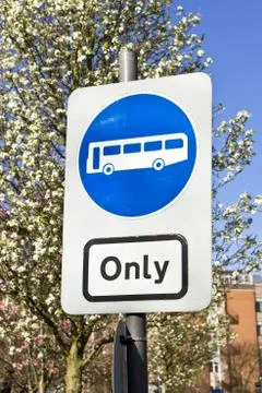 Bus only Stock Photos