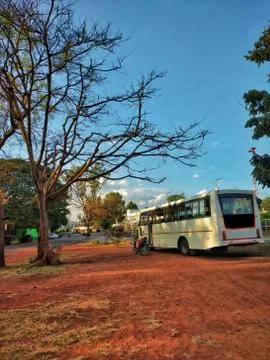 A Bus parked under a tree. Stock Photos