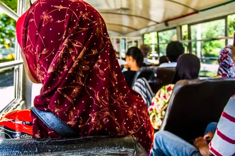 Bus Passenger Stock Photos