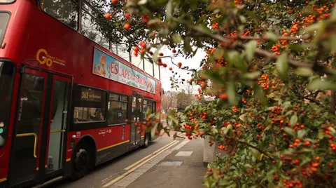 Bus passes bush Stock Footage 37721814