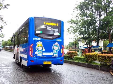 Bus Фото