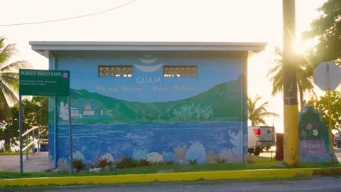 Bus stop from across the road Video stock 168481696