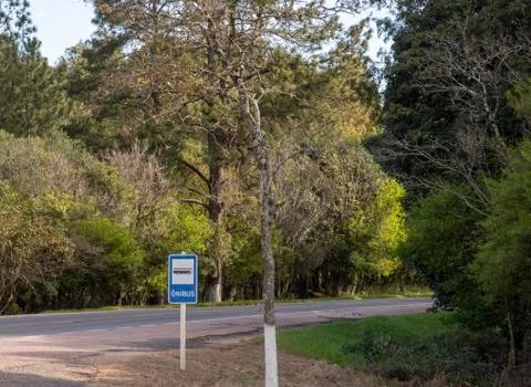 Bus stop on the highway next to the native trees Stock Photos