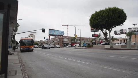 Bus stop on Hollywood Boulevard, Los Angeles, USA Stock Footage 319647404