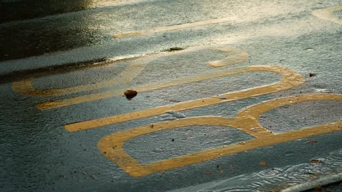Bus stop marking reflecting on wet asphalt during rainy autumn, creating gloomy Stock Footage 303496254