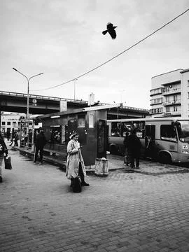 At The Bus Stop Fotos de archivo