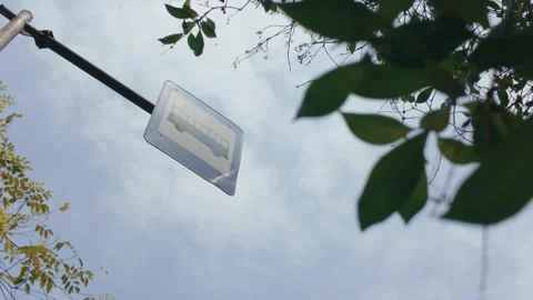 Bus stop sign hanging from a pole viewed from below with tree leaves against a c 库存影片 343372467