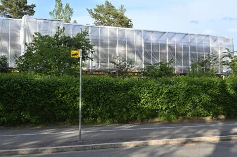 A bus stop sign positioned in front of a green hedge Stock Photos