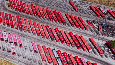 Bus storage area shows many parked red and pink buses in rows Vídeos de archivo 343116540