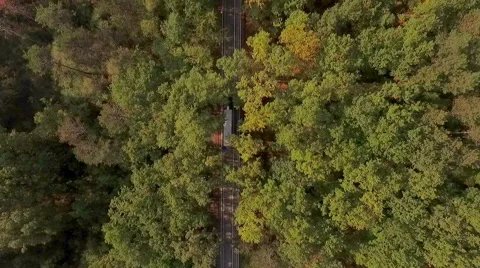 Bus through the woods aeirel shot Stock Footage 58910942