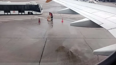 Bus transits alongside aircraft Video stock 227291835