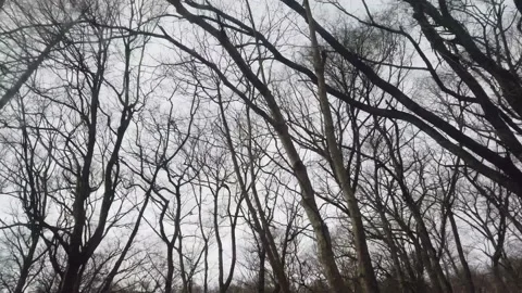 Bus Window In Motion On The Winter Cloudy Sky, Travel Concept Vídeo Stock 153816527