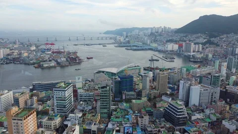 Busan harbour Video stock 113540313