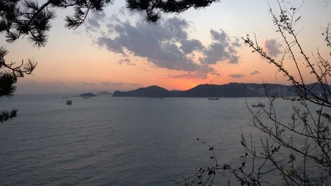 Busan Sunset Stock Footage 101003490