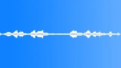 BUS,CITY,TRANSIT Sound Effect