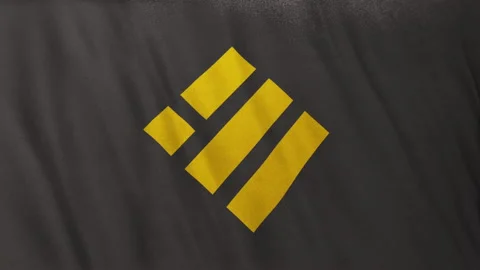BUSD Binance USD icon logo on full-frame grey flag loop banner background Stock-Footage 159114307