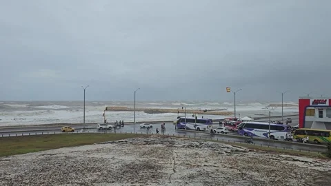 Buses Along Rough Seafront Beyond Old Stone Parapet, Cartagena, Colombia 8K Stock-Footage 331504649