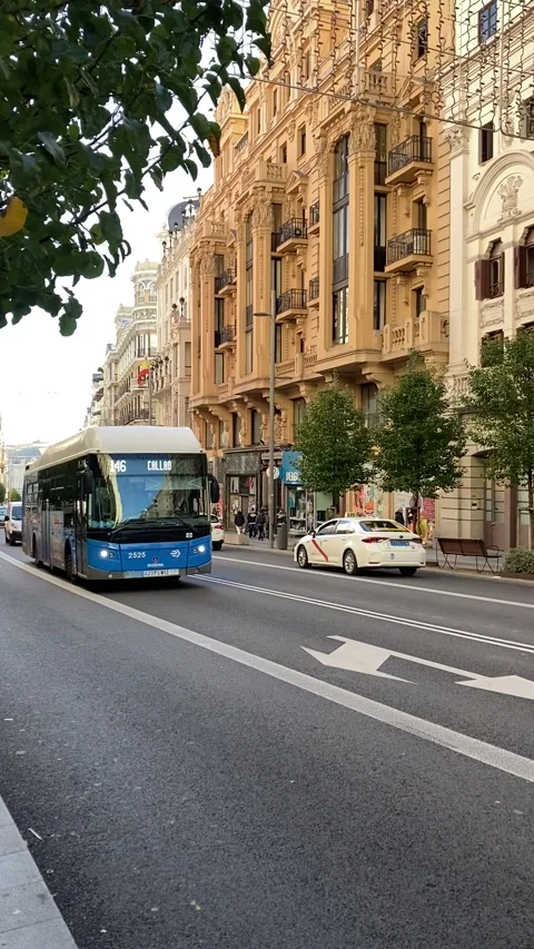Buses rolling through Madrid streets Stock Footage 313333911