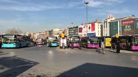 Buses waiting at the bus platform Stock Footage 146046799