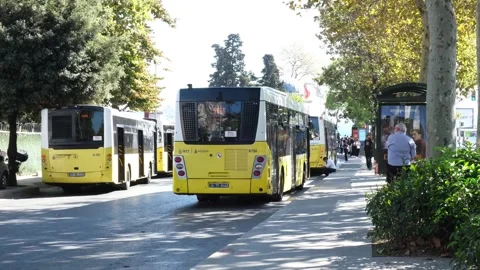 Buses waiting at the bus stop Stock Footage 251434595