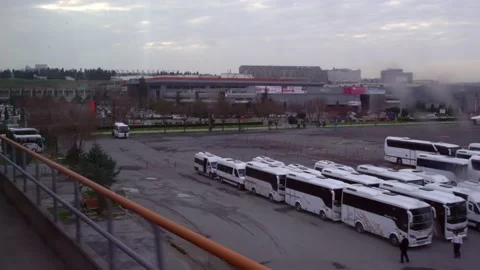 Buses waiting for their passengers. Stock Footage 169374597