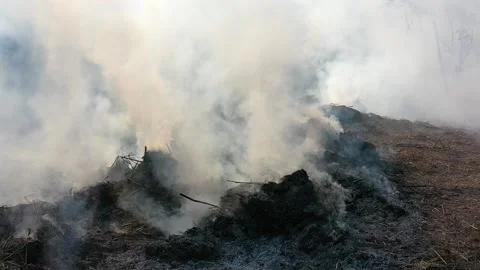 Busfire Stock Footage 131895441