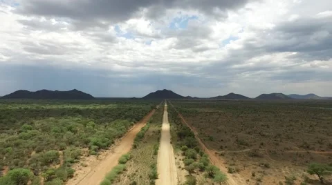 The bush in Africa Stockbeeldmateriaal 59657768