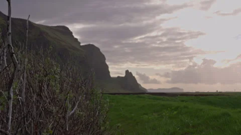 Bush and grass in foreground with mountains and beach in background 動画素材 329442564