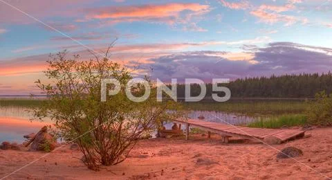 Bush and pier on shore of lake in beautiful evening. Stock Photos