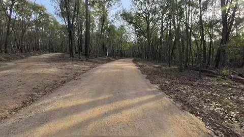 Bush Driving - Hyperlapse Stock Footage 331063798