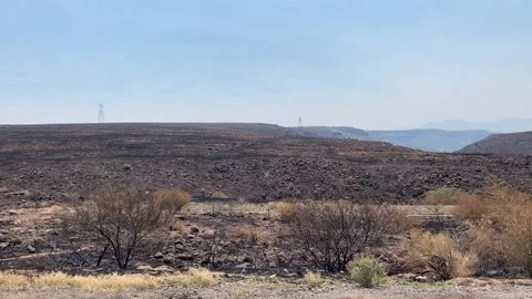 Bush Fire Aftermath with Burnt Ashes Field Arizona Stock Footage 134309787