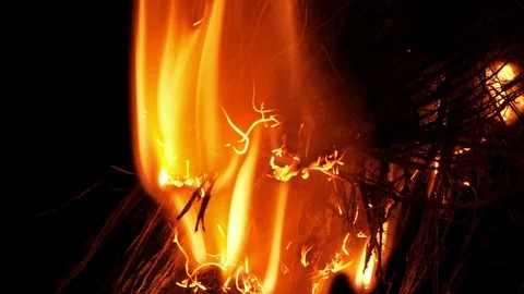 Bush fire arson igniting wood tinder with cigarette lighter Stock Footage 92452258