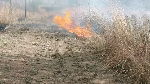 Bush fire burning valley with train passing in the distance tilt up Stock Footage 84027703