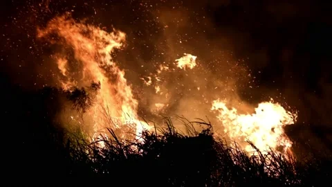 Bush Fire Embers Stock Footage 160187377