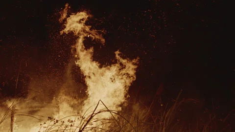 Bush fire flames burning out of control Stock Footage 247319532
