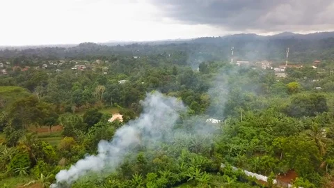 Bush fire Stock Footage 87190131