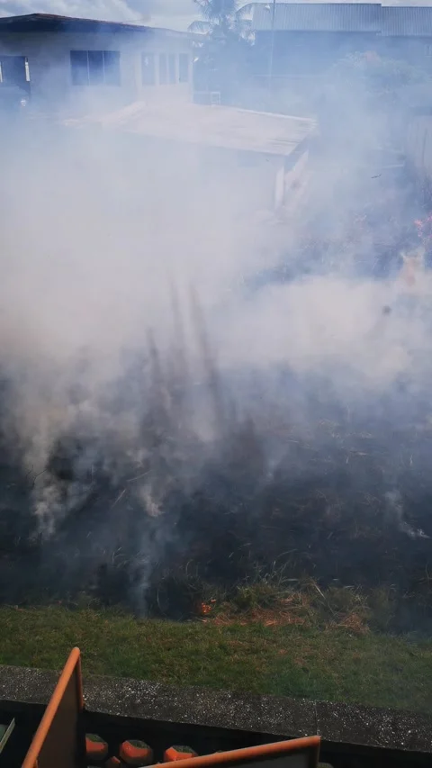 Bush Fire Stock Footage 168765738