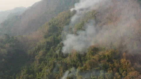 Bush fire on the mountain Stock Footage 133848947