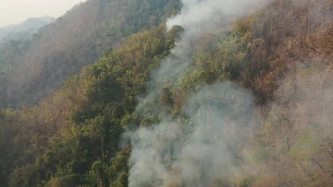 Bush fire on the mountain Stock Footage 133849239