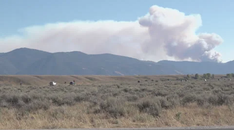 Bush Fire in Mountains Stock Footage 22633669