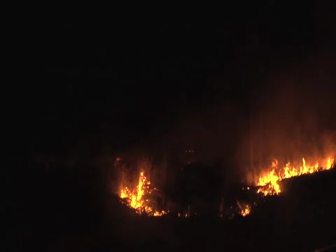 Bush Fire At Night Video stock 2311627