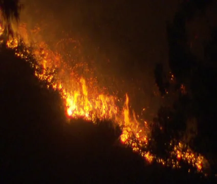 Bush fire at night Stock Footage 33402887