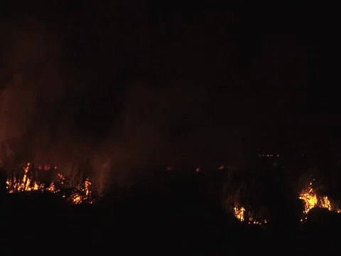 Bush Fire At Night2 Video stock 2311570