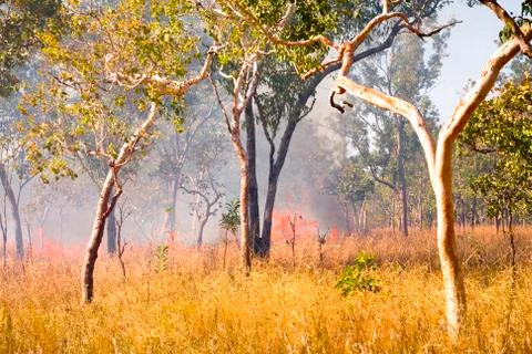 Bush fire in outback australia Stock Photos