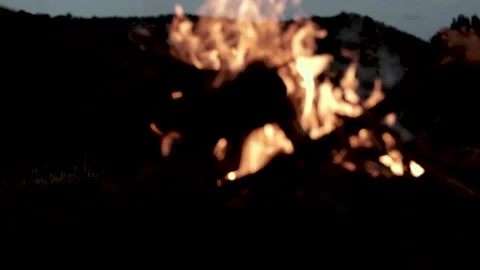 Bush Fire with tourist warming up Stock Footage 130194628