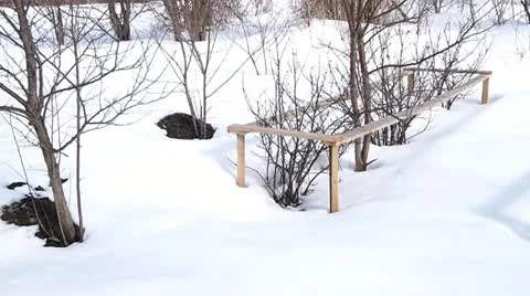 Bush Stock Footage 22424841