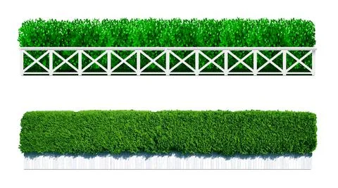 Bush in the form of a green hedge Stock Illustration